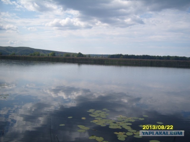 Поехали за грибами, приехали с карасями.