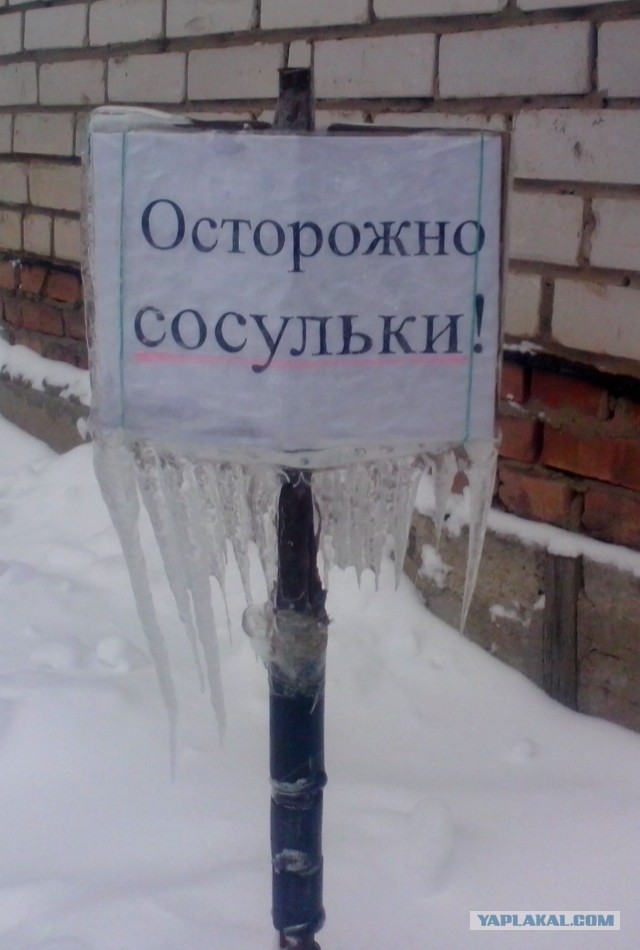 Маразмы года 2013