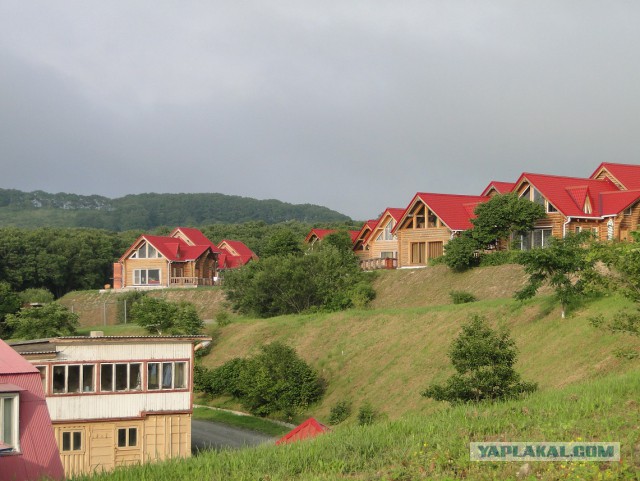 Природа Приморского края