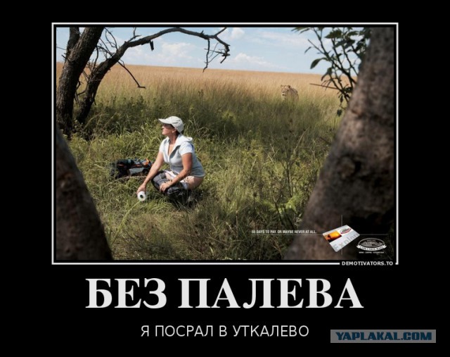 Про США и загадочные унитазы
