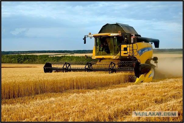 Пока укропы скакали...