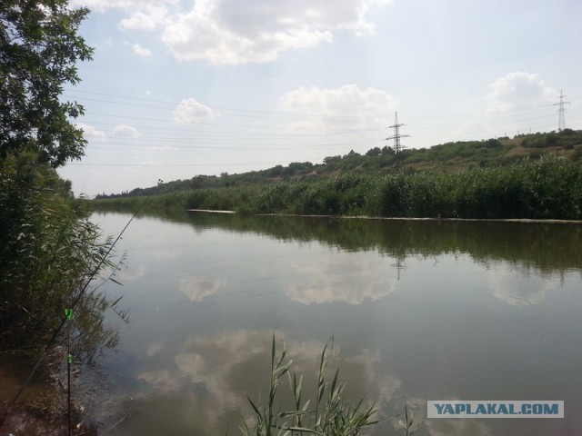 Как провести день, или сказка наяву!