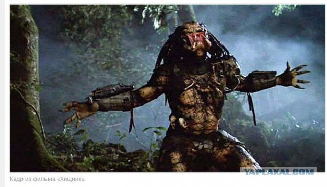 Укроп на проводах - в прямом смысле