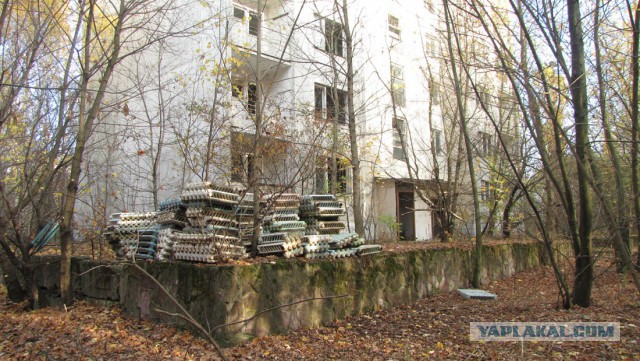 Мародёрство в зоне отчуждения Чернобыльской АЭС