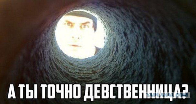 Веселое из сети