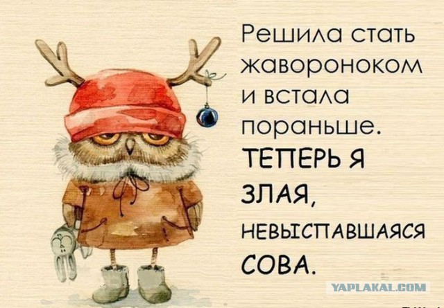 Вторничные картинки