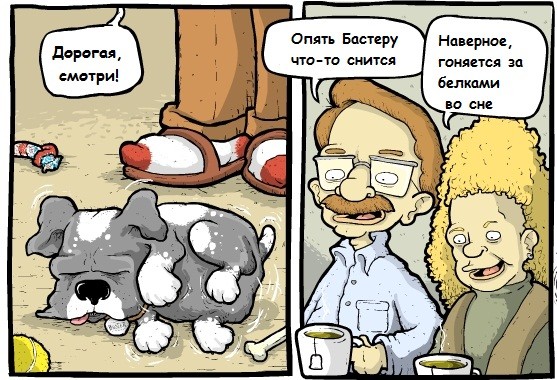 Собачий сон