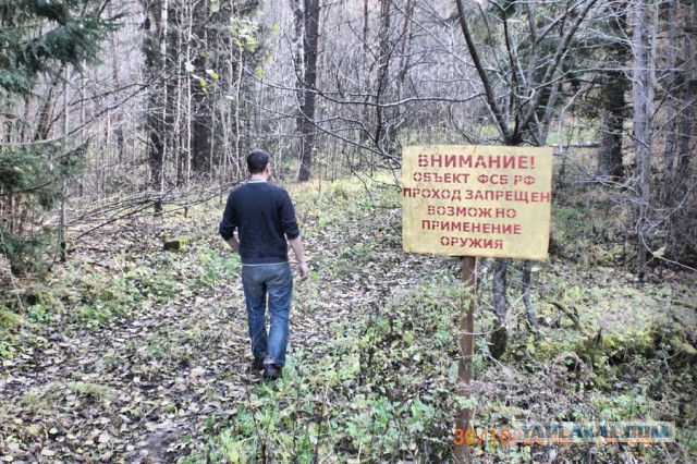 Фотографии, из-за которых можно оказаться в тюрьме