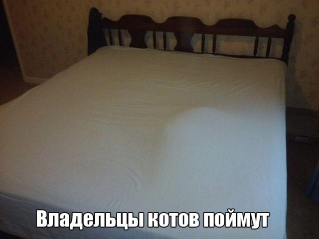 Картинки на пятницу