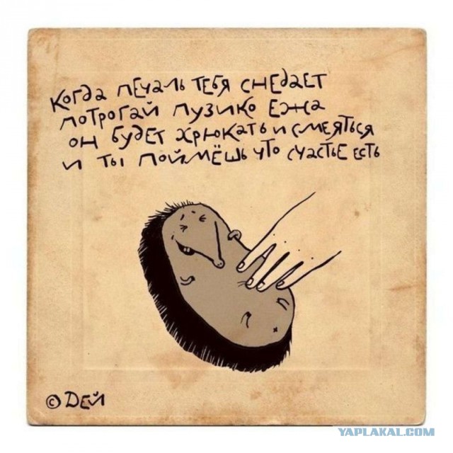 Как развернуть ежа