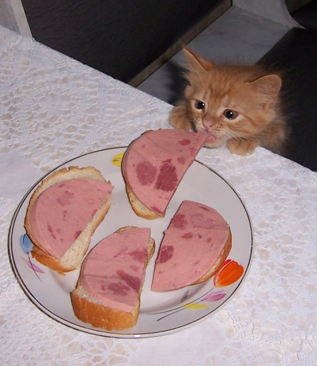 Экспроприация