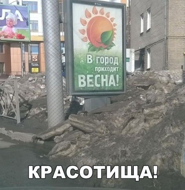 Подборка безудержного веселья