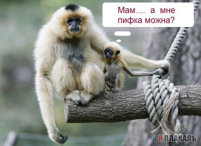 С ПЯТНИЦЕЙ!