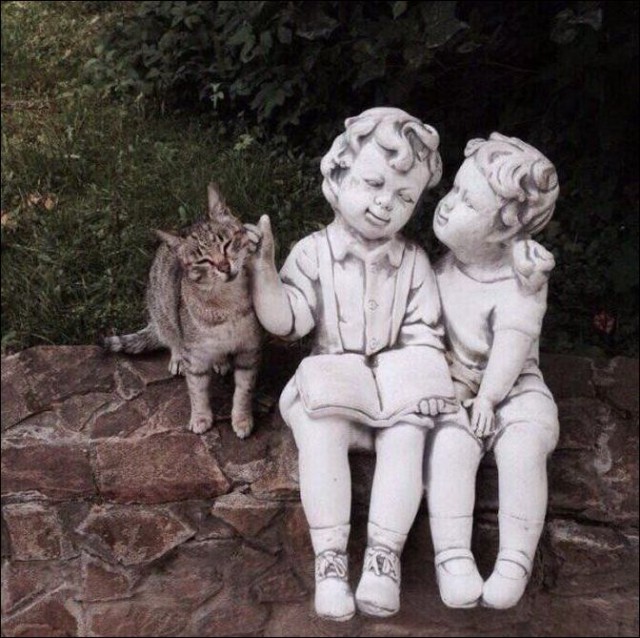 Снова показалось