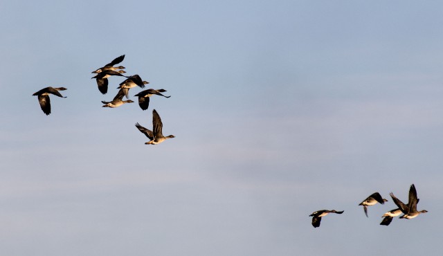 Просто Природа