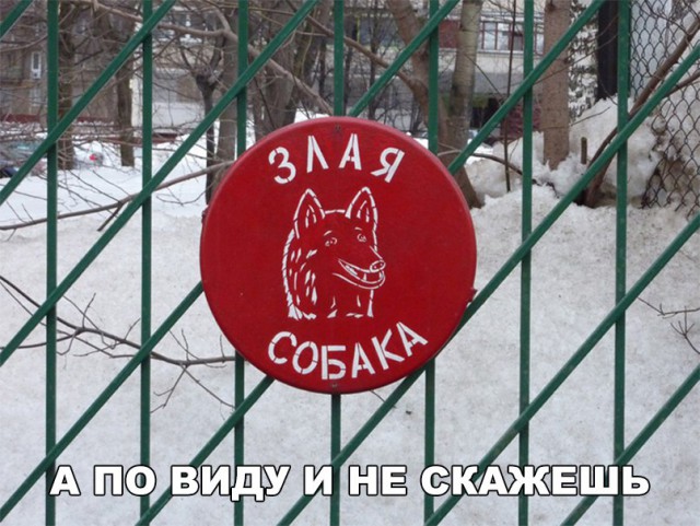 Нестандартный юмор