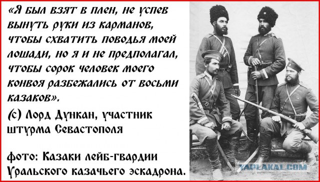 Почему в России не любили казаков
