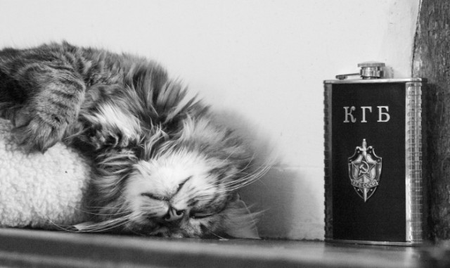 Котопятница: А кто не пьёт? Назови! ))