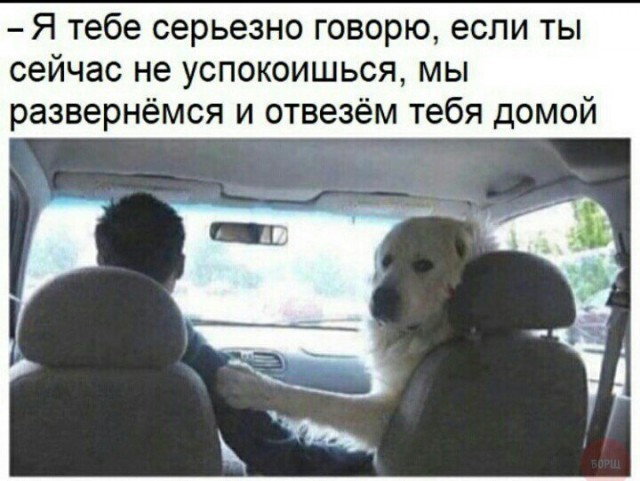 Не очень адекватный юмор