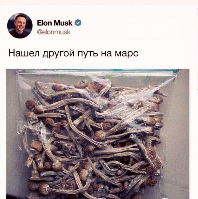 Подборка интересных и веселых картинок