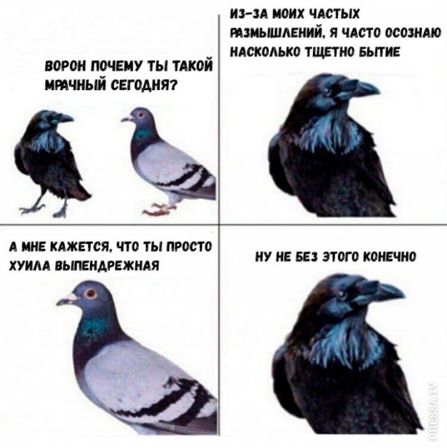 Немного картинок для настроения