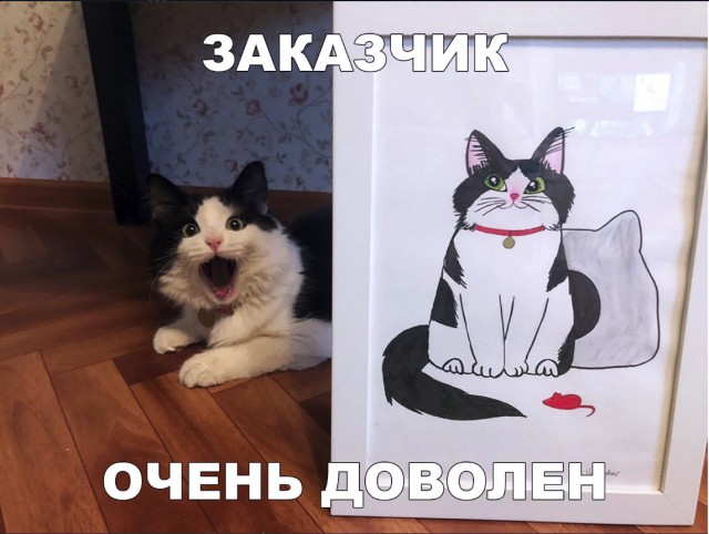 Нестандартный юмор