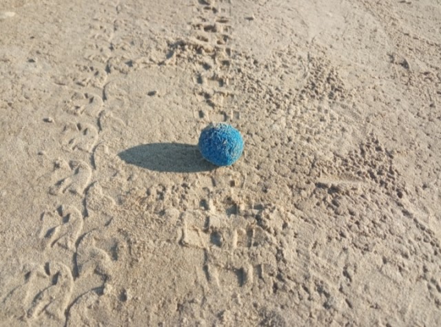Синие шарики на пляже финского залива
