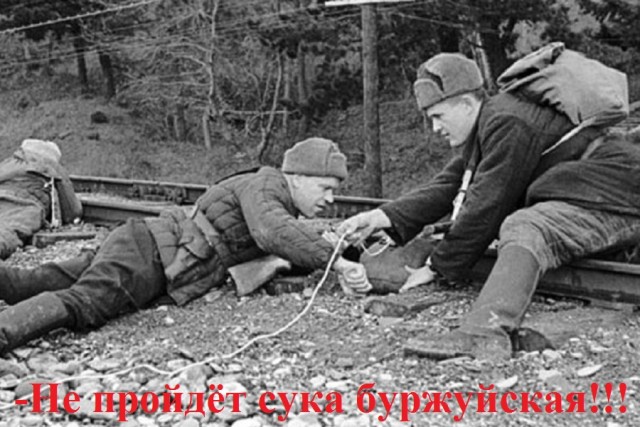 Около 13 комплексов фотовидефиксации сожгли в Раменском