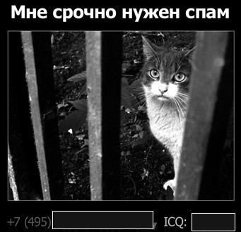 Веселый спам