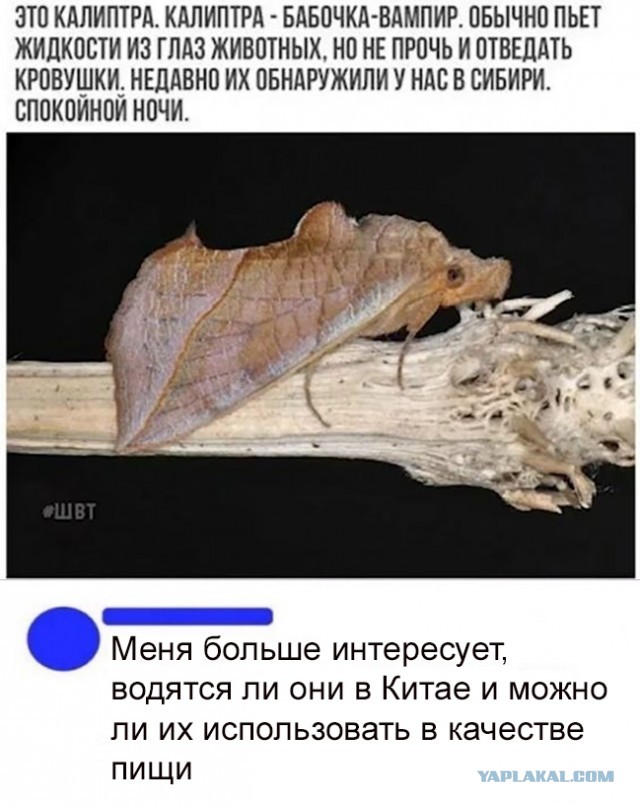 Бредзона 08.05.20