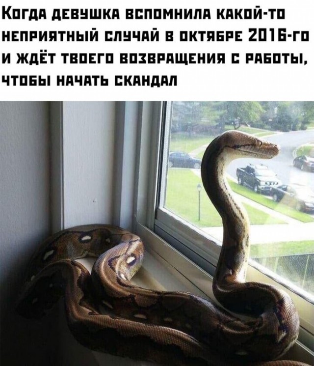 Немного картинок для настроения 18.05.20