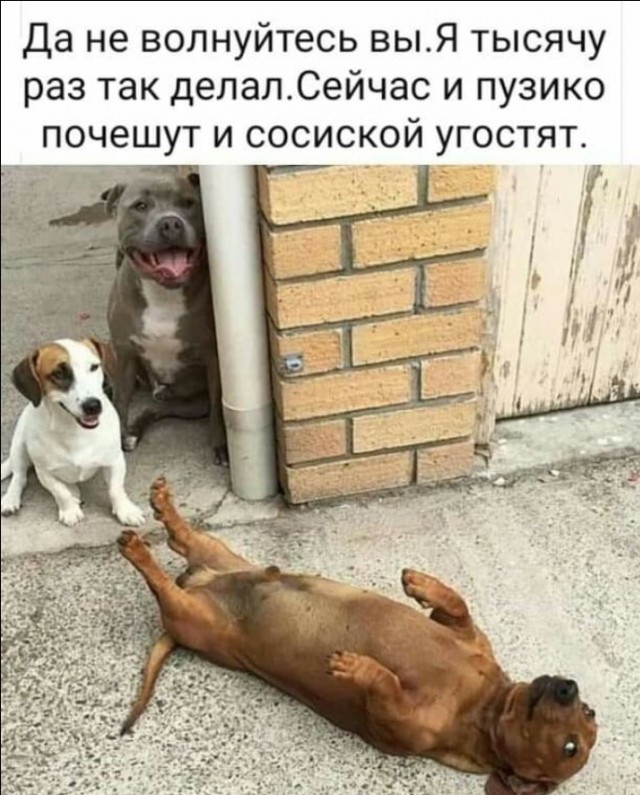 Так себе картинки 01.06.20
