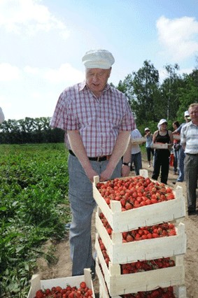 Как Жириновский на клубнике был