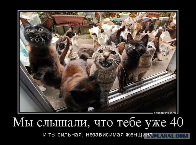 Вот молодость позади, а я осознаю - старая любовница никому не нужна