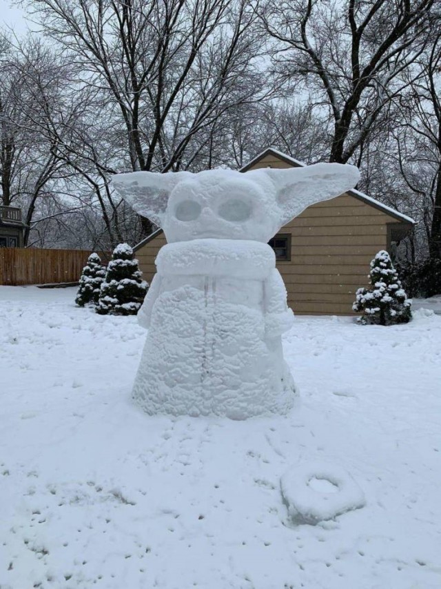 Давно не было солянки из картинок