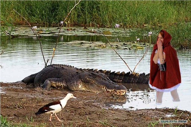 Фотожаба: "Заплутала"