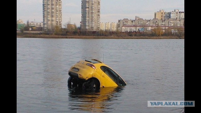 Что означает "рыбка" на кузове автомобиля?