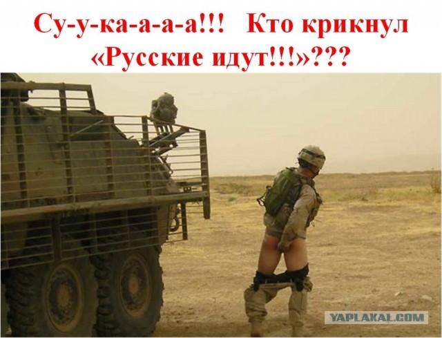 Весёлый полтишок 15.02