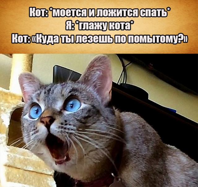 Бредзона 15.02.21