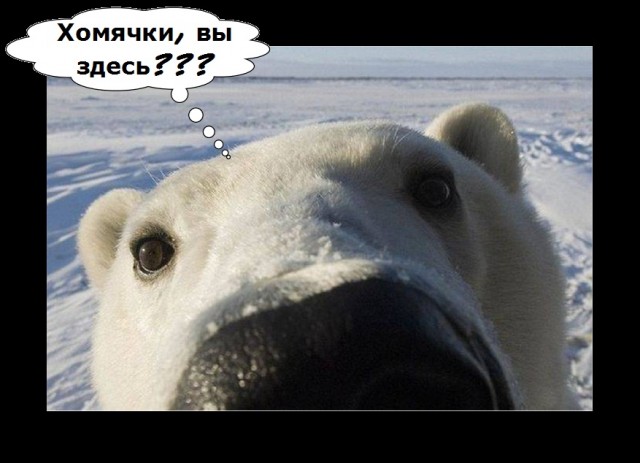 Света из Иванова о результатах выборов