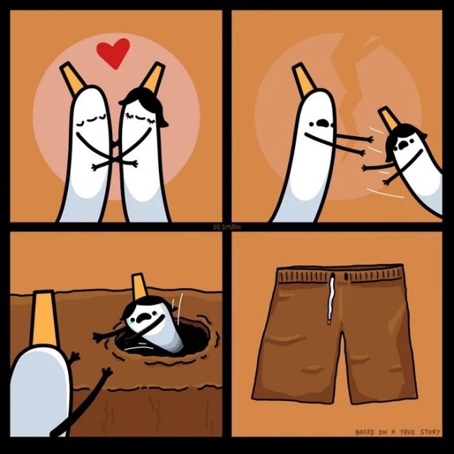 Весёлый полтишок 26.09