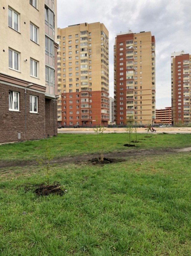 Свежая зелень