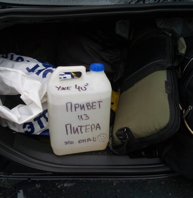 Можно ли выжить в Сибирской тайге?
