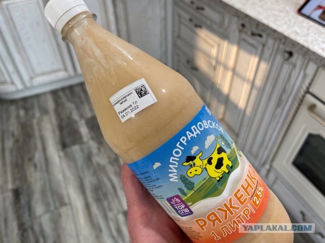 Быстро-вкусно: пирог на сметане с персиками