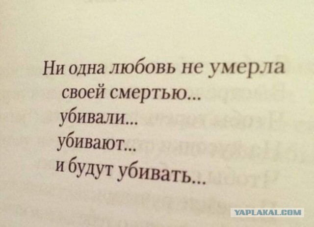 Так себе картинки 07.02.22