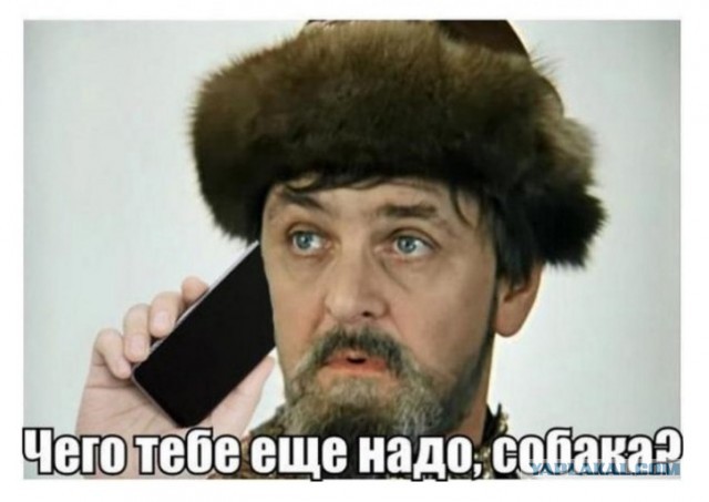 Яхта владельца Оленегорского ГОКа