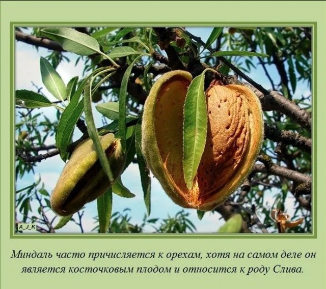 70 удивительных фактов
