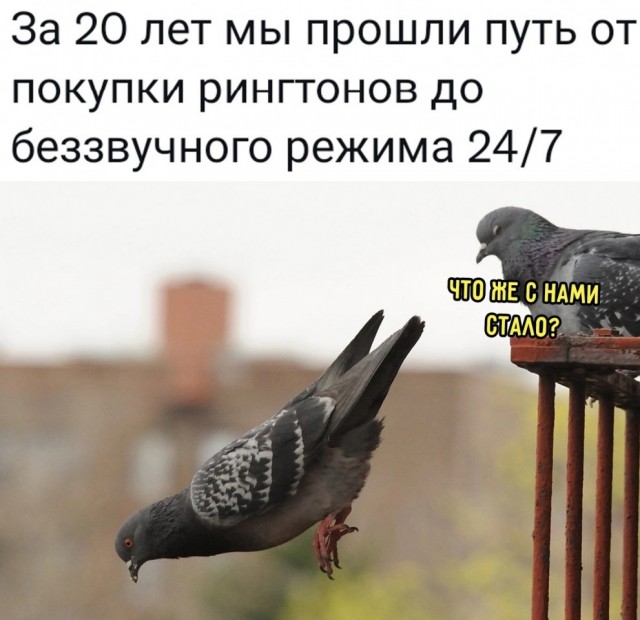Юмор и приколы из социальных сетей