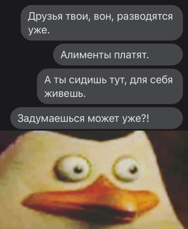 Так себе картинки 30.08.22