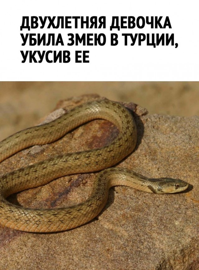 Так себе картинки 12.09.22